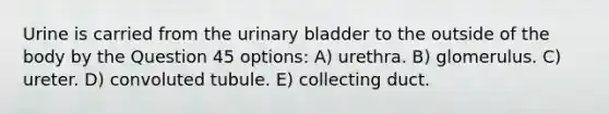 Urine is carried from the urinary bladder to the outside of the body by the Question 45 options: A) urethra. B) glomerulus. C) ureter. D) convoluted tubule. E) collecting duct.