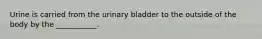 Urine is carried from the urinary bladder to the outside of the body by the ___________.