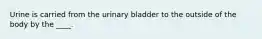 Urine is carried from the urinary bladder to the outside of the body by the ____.