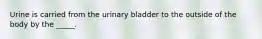 Urine is carried from the urinary bladder to the outside of the body by the _____.