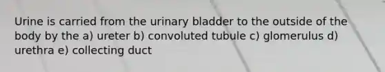 Urine is carried from the urinary bladder to the outside of the body by the a) ureter b) convoluted tubule c) glomerulus d) urethra e) collecting duct