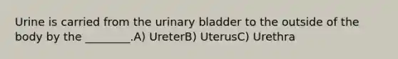 Urine is carried from the <a href='https://www.questionai.com/knowledge/kb9SdfFdD9-urinary-bladder' class='anchor-knowledge'>urinary bladder</a> to the outside of the body by the ________.A) UreterB) UterusC) Urethra