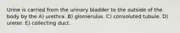 Urine is carried from the urinary bladder to the outside of the body by the A) urethra. B) glomerulus. C) convoluted tubule. D) ureter. E) collecting duct.