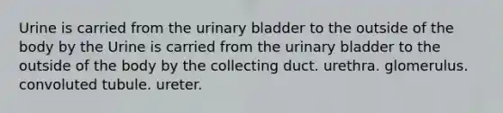 Urine is carried from the urinary bladder to the outside of the body by the Urine is carried from the urinary bladder to the outside of the body by the collecting duct. urethra. glomerulus. convoluted tubule. ureter.