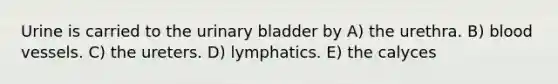 Urine is carried to the urinary bladder by A) the urethra. B) blood vessels. C) the ureters. D) lymphatics. E) the calyces