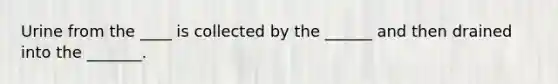 Urine from the ____ is collected by the ______ and then drained into the _______.