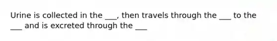 Urine is collected in the ___, then travels through the ___ to the ___ and is excreted through the ___