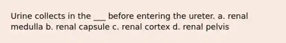 Urine collects in the ___ before entering the ureter. a. renal medulla b. renal capsule c. renal cortex d. renal pelvis