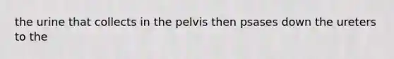 the urine that collects in the pelvis then psases down the ureters to the