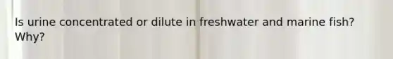 Is urine concentrated or dilute in freshwater and marine fish? Why?