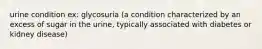 urine condition ex: glycosuria (a condition characterized by an excess of sugar in the urine, typically associated with diabetes or kidney disease)