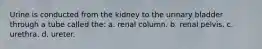 Urine is conducted from the kidney to the urinary bladder through a tube called the: a. renal column. b. renal pelvis. c. urethra. d. ureter.