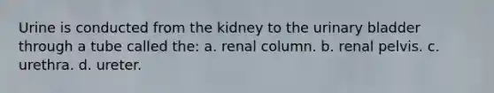 Urine is conducted from the kidney to the urinary bladder through a tube called the: a. renal column. b. renal pelvis. c. urethra. d. ureter.