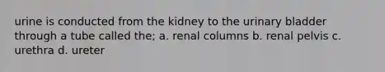 urine is conducted from the kidney to the <a href='https://www.questionai.com/knowledge/kb9SdfFdD9-urinary-bladder' class='anchor-knowledge'>urinary bladder</a> through a tube called the; a. renal columns b. renal pelvis c. urethra d. ureter