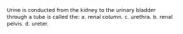 Urine is conducted from the kidney to the urinary bladder through a tube is called the: a. renal column. c. urethra. b. renal pelvis. d. ureter.