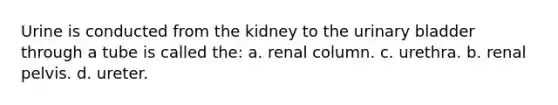 Urine is conducted from the kidney to the <a href='https://www.questionai.com/knowledge/kb9SdfFdD9-urinary-bladder' class='anchor-knowledge'>urinary bladder</a> through a tube is called the: a. renal column. c. urethra. b. renal pelvis. d. ureter.