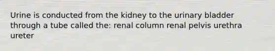 Urine is conducted from the kidney to the urinary bladder through a tube called the: renal column renal pelvis urethra ureter