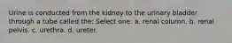 Urine is conducted from the kidney to the urinary bladder through a tube called the: Select one: a. renal column. b. renal pelvis. c. urethra. d. ureter.