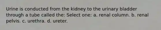 Urine is conducted from the kidney to the <a href='https://www.questionai.com/knowledge/kb9SdfFdD9-urinary-bladder' class='anchor-knowledge'>urinary bladder</a> through a tube called the: Select one: a. renal column. b. renal pelvis. c. urethra. d. ureter.