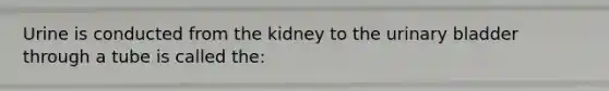 Urine is conducted from the kidney to the urinary bladder through a tube is called the: