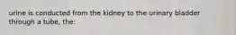 urine is conducted from the kidney to the urinary bladder through a tube, the: