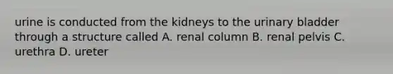 urine is conducted from the kidneys to the <a href='https://www.questionai.com/knowledge/kb9SdfFdD9-urinary-bladder' class='anchor-knowledge'>urinary bladder</a> through a structure called A. renal column B. renal pelvis C. urethra D. ureter