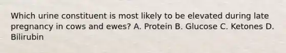 Which urine constituent is most likely to be elevated during late pregnancy in cows and ewes? A. Protein B. Glucose C. Ketones D. Bilirubin