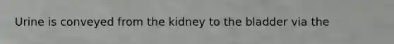 Urine is conveyed from the kidney to the bladder via the