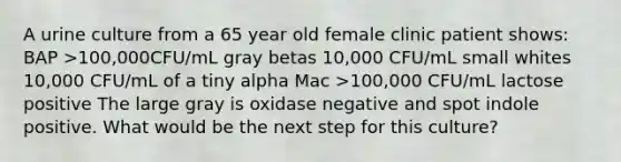 A urine culture from a 65 year old female clinic patient shows: BAP >100,000CFU/mL gray betas 10,000 CFU/mL small whites 10,000 CFU/mL of a tiny alpha Mac >100,000 CFU/mL lactose positive The large gray is oxidase negative and spot indole positive. What would be the next step for this culture?