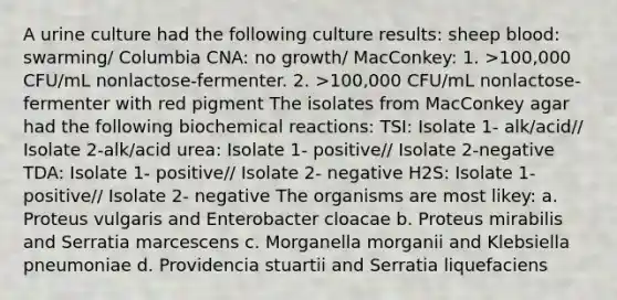 A urine culture had the following culture results: sheep blood: swarming/ Columbia CNA: no growth/ MacConkey: 1. >100,000 CFU/mL nonlactose-fermenter. 2. >100,000 CFU/mL nonlactose-fermenter with red pigment The isolates from MacConkey agar had the following <a href='https://www.questionai.com/knowledge/kVn7fMxiFS-biochemical-reactions' class='anchor-knowledge'>biochemical reactions</a>: TSI: Isolate 1- alk/acid// Isolate 2-alk/acid urea: Isolate 1- positive// Isolate 2-negative TDA: Isolate 1- positive// Isolate 2- negative H2S: Isolate 1- positive// Isolate 2- negative The organisms are most likey: a. Proteus vulgaris and Enterobacter cloacae b. Proteus mirabilis and Serratia marcescens c. Morganella morganii and Klebsiella pneumoniae d. Providencia stuartii and Serratia liquefaciens