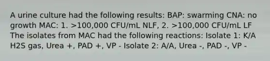 A urine culture had the following results: BAP: swarming CNA: no growth MAC: 1. >100,000 CFU/mL NLF, 2. >100,000 CFU/mL LF The isolates from MAC had the following reactions: Isolate 1: K/A H2S gas, Urea +, PAD +, VP - Isolate 2: A/A, Urea -, PAD -, VP -