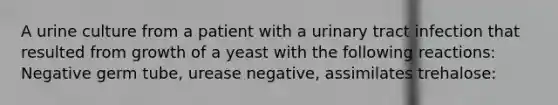 A urine culture from a patient with a urinary tract infection that resulted from growth of a yeast with the following reactions: Negative germ tube, urease negative, assimilates trehalose: