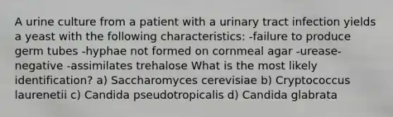 A urine culture from a patient with a urinary tract infection yields a yeast with the following characteristics: -failure to produce germ tubes -hyphae not formed on cornmeal agar -urease-negative -assimilates trehalose What is the most likely identification? a) Saccharomyces cerevisiae b) Cryptococcus laurenetii c) Candida pseudotropicalis d) Candida glabrata