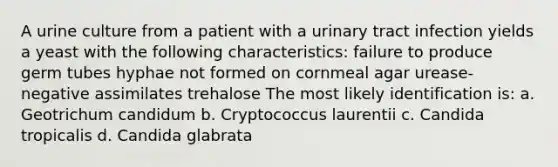 A urine culture from a patient with a urinary tract infection yields a yeast with the following characteristics: failure to produce germ tubes hyphae not formed on cornmeal agar urease-negative assimilates trehalose The most likely identification is: a. Geotrichum candidum b. Cryptococcus laurentii c. Candida tropicalis d. Candida glabrata