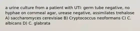 a urine culture from a patient with UTI: germ tube negative, no hyphae on cornmeal agar, urease negative, assimilates trehalose A) saccharomyces cerevisiae B) Cryptococcus neoformans C) C. albicans D) C. glabrata