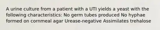 A urine culture from a patient with a UTI yields a yeast with the following characteristics: No germ tubes produced No hyphae formed on cornmeal agar Urease-negative Assimilates trehalose