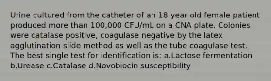 Urine cultured from the catheter of an 18-year-old female patient produced more than 100,000 CFU/mL on a CNA plate. Colonies were catalase positive, coagulase negative by the latex agglutination slide method as well as the tube coagulase test. The best single test for identification is: a.Lactose fermentation b.Urease c.Catalase d.Novobiocin susceptibility