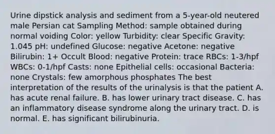 Urine dipstick analysis and sediment from a 5-year-old neutered male Persian cat Sampling Method: sample obtained during normal voiding Color: yellow Turbidity: clear Specific Gravity: 1.045 pH: undefined Glucose: negative Acetone: negative Bilirubin: 1+ Occult Blood: negative Protein: trace RBCs: 1-3/hpf WBCs: 0-1/hpf Casts: none Epithelial cells: occasional Bacteria: none Crystals: few amorphous phosphates The best interpretation of the results of the urinalysis is that the patient A. has acute renal failure. B. has lower urinary tract disease. C. has an inflammatory disease syndrome along the urinary tract. D. is normal. E. has significant bilirubinuria.