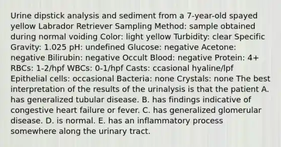 Urine dipstick analysis and sediment from a 7-year-old spayed yellow Labrador Retriever Sampling Method: sample obtained during normal voiding Color: light yellow Turbidity: clear Specific Gravity: 1.025 pH: undefined Glucose: negative Acetone: negative Bilirubin: negative Occult Blood: negative Protein: 4+ RBCs: 1-2/hpf WBCs: 0-1/hpf Casts: ccasional hyaline/lpf Epithelial cells: occasional Bacteria: none Crystals: none The best interpretation of the results of the urinalysis is that the patient A. has generalized tubular disease. B. has findings indicative of congestive heart failure or fever. C. has generalized glomerular disease. D. is normal. E. has an inflammatory process somewhere along the urinary tract.