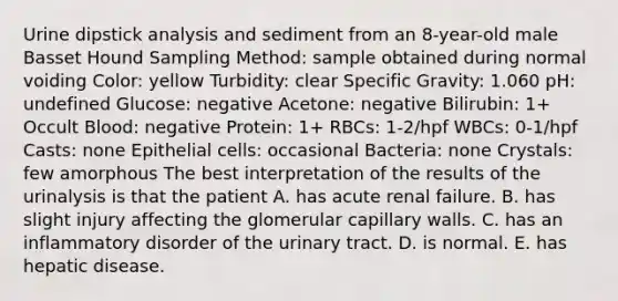 Urine dipstick analysis and sediment from an 8-year-old male Basset Hound Sampling Method: sample obtained during normal voiding Color: yellow Turbidity: clear Specific Gravity: 1.060 pH: undefined Glucose: negative Acetone: negative Bilirubin: 1+ Occult Blood: negative Protein: 1+ RBCs: 1-2/hpf WBCs: 0-1/hpf Casts: none Epithelial cells: occasional Bacteria: none Crystals: few amorphous The best interpretation of the results of the urinalysis is that the patient A. has acute renal failure. B. has slight injury affecting the glomerular capillary walls. C. has an inflammatory disorder of the urinary tract. D. is normal. E. has hepatic disease.