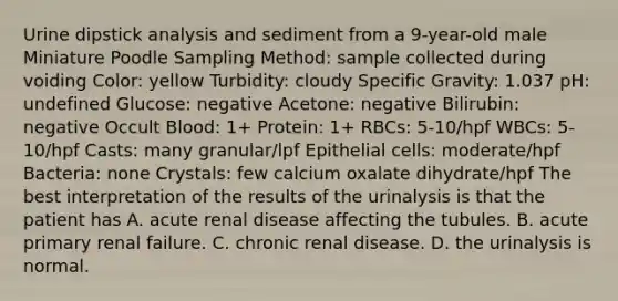 Urine dipstick analysis and sediment from a 9-year-old male Miniature Poodle Sampling Method: sample collected during voiding Color: yellow Turbidity: cloudy Specific Gravity: 1.037 pH: undefined Glucose: negative Acetone: negative Bilirubin: negative Occult Blood: 1+ Protein: 1+ RBCs: 5-10/hpf WBCs: 5-10/hpf Casts: many granular/lpf Epithelial cells: moderate/hpf Bacteria: none Crystals: few calcium oxalate dihydrate/hpf The best interpretation of the results of the urinalysis is that the patient has A. acute renal disease affecting the tubules. B. acute primary renal failure. C. chronic renal disease. D. the urinalysis is normal.