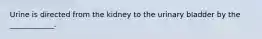 Urine is directed from the kidney to the urinary bladder by the ____________.