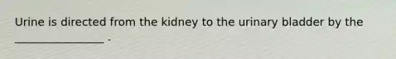 Urine is directed from the kidney to the urinary bladder by the ________________ .