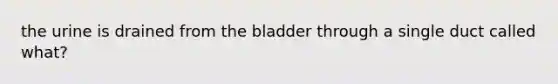 the urine is drained from the bladder through a single duct called what?