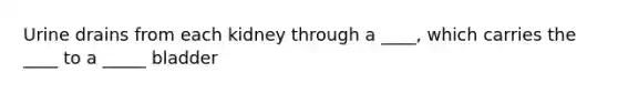 Urine drains from each kidney through a ____, which carries the ____ to a _____ bladder