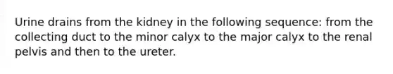 Urine drains from the kidney in the following sequence: from the collecting duct to the minor calyx to the major calyx to the renal pelvis and then to the ureter.