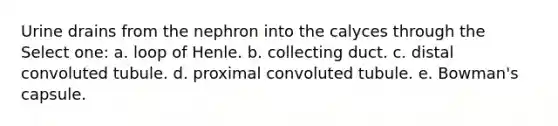 Urine drains from the nephron into the calyces through the Select one: a. loop of Henle. b. collecting duct. c. distal convoluted tubule. d. proximal convoluted tubule. e. Bowman's capsule.