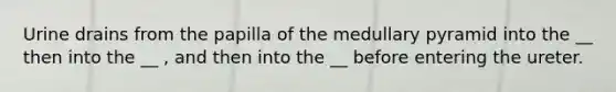 Urine drains from the papilla of the medullary pyramid into the __ then into the __ , and then into the __ before entering the ureter.