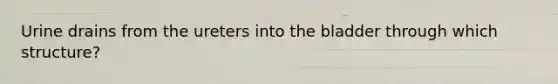 Urine drains from the ureters into the bladder through which structure?