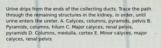 Urine drips from the ends of the collecting ducts. Trace the path through the remaining structures in the kidney, in order, until urine enters the ureter. A. Calyces, columns, pyramids, pelvis B. Pyramids, columns, hilum C. Major calyces, renal pelvis, pyramids D. Columns, medulla, cortex E. Minor calyces, major calyces, renal pelvis